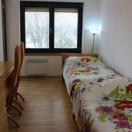 Apartman Lipanek リプノ・ナト・ヴルタヴォウ エクステリア 写真